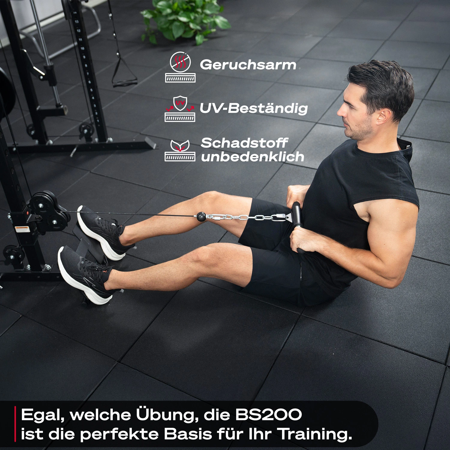 additional_image  3.webp